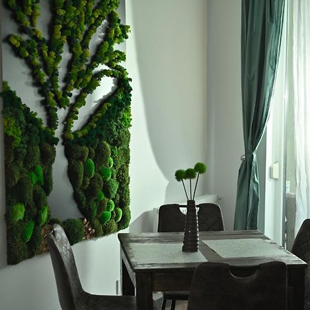 טימישוארה Mirvana Apartments Metheor Executive Suite מראה חיצוני תמונה