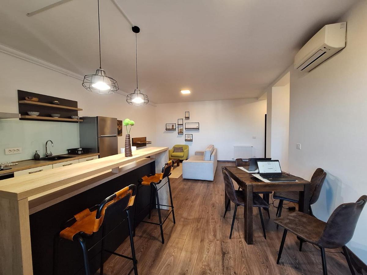 טימישוארה Mirvana Apartments Metheor Executive Suite מראה חיצוני תמונה