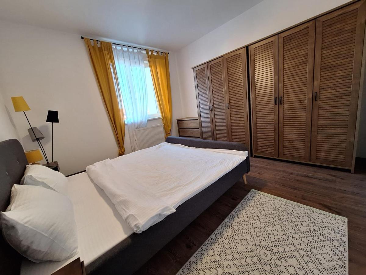 טימישוארה Mirvana Apartments Metheor Executive Suite מראה חיצוני תמונה
