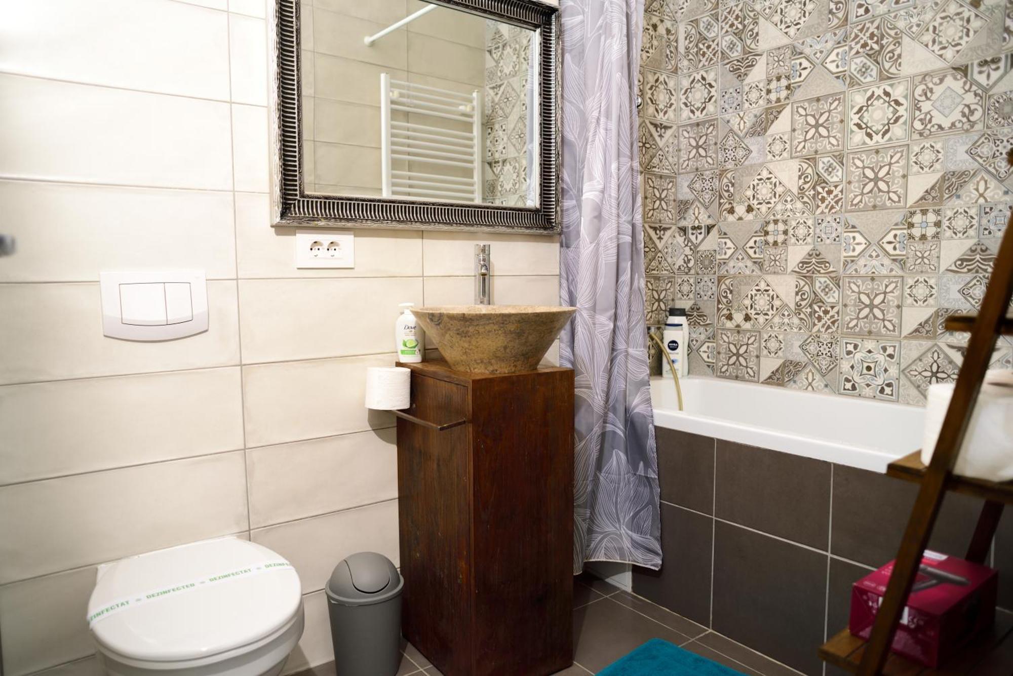 טימישוארה Mirvana Apartments Metheor Executive Suite מראה חיצוני תמונה