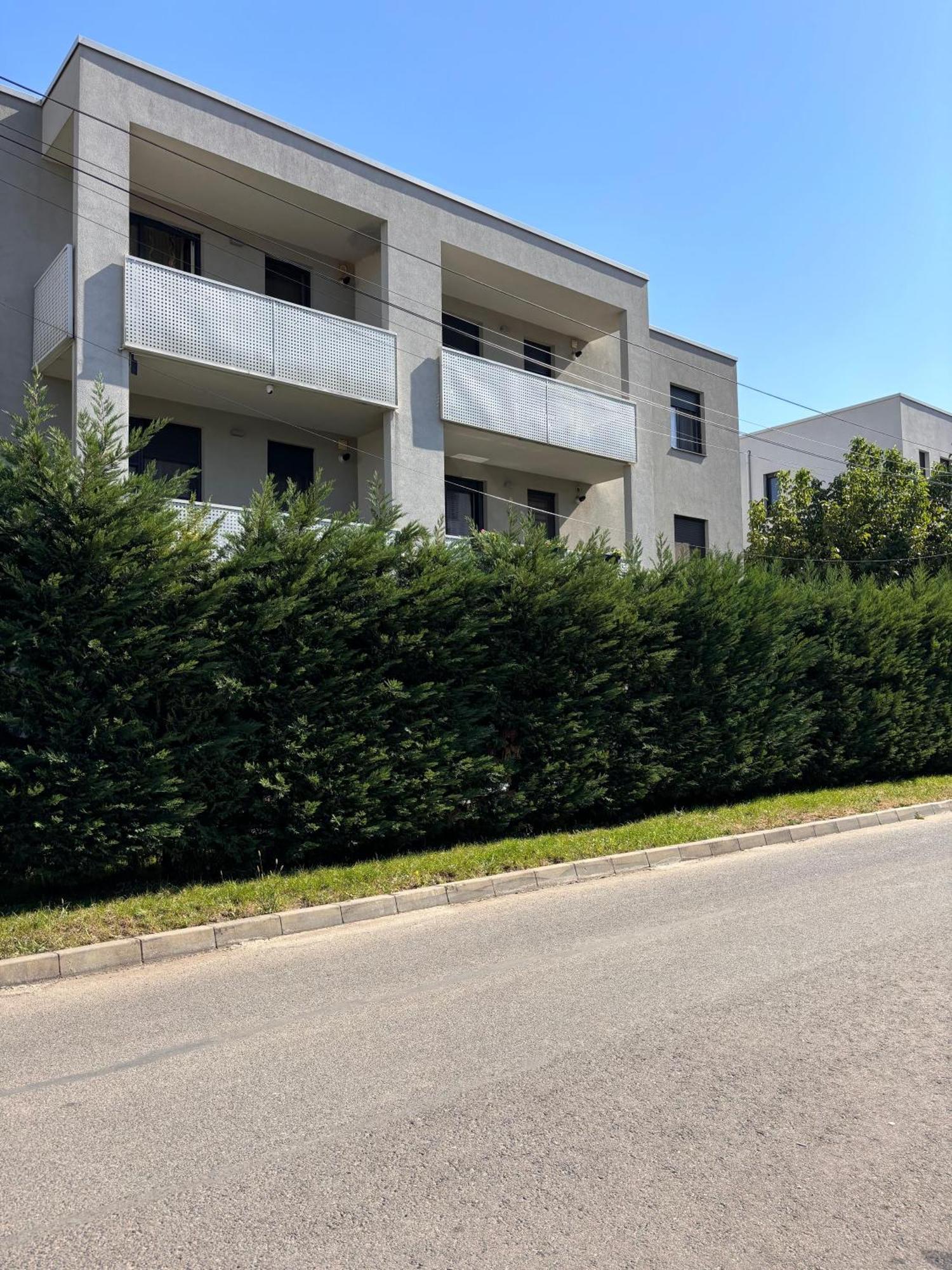 טימישוארה Mirvana Apartments Metheor Executive Suite מראה חיצוני תמונה