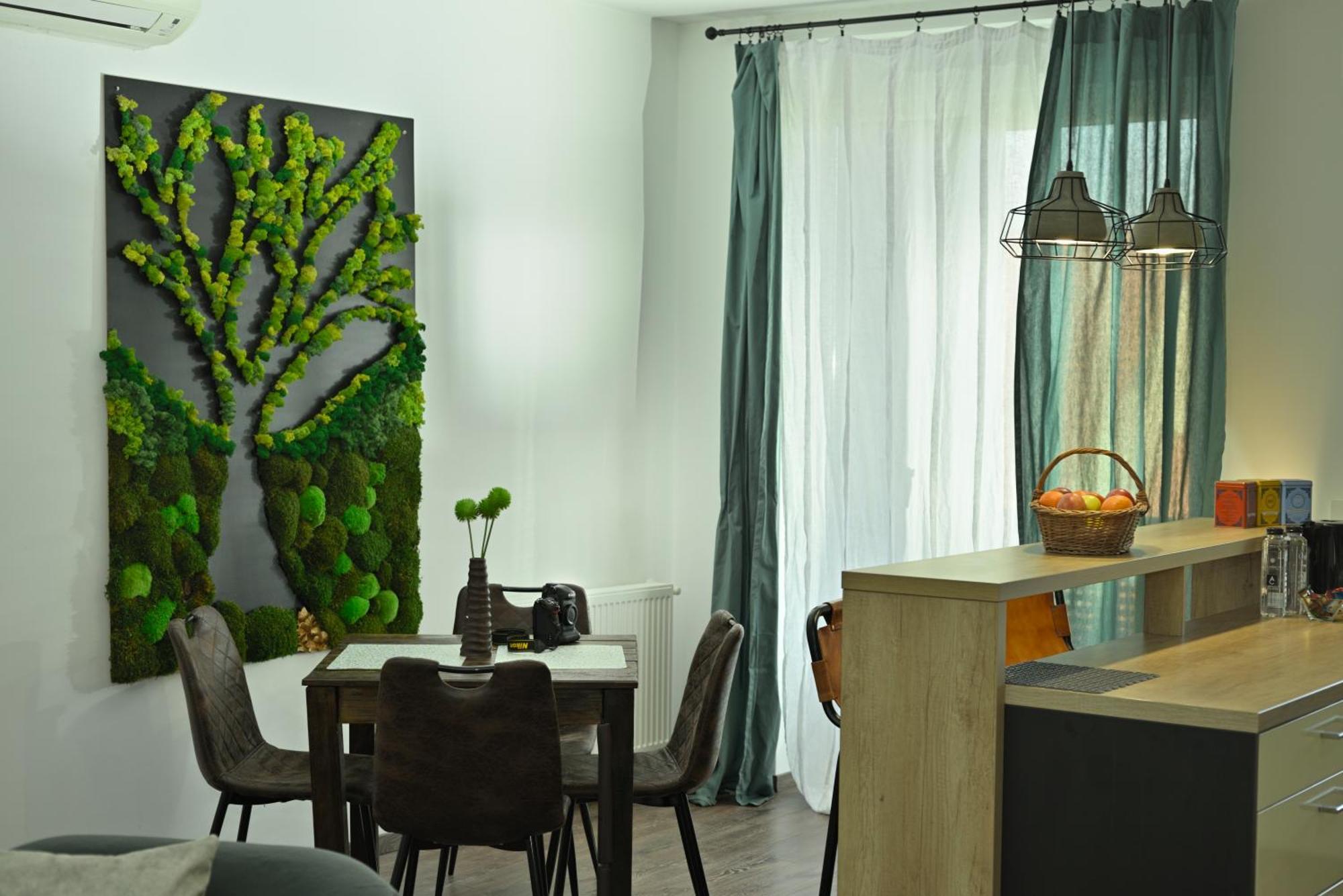 טימישוארה Mirvana Apartments Metheor Executive Suite מראה חיצוני תמונה