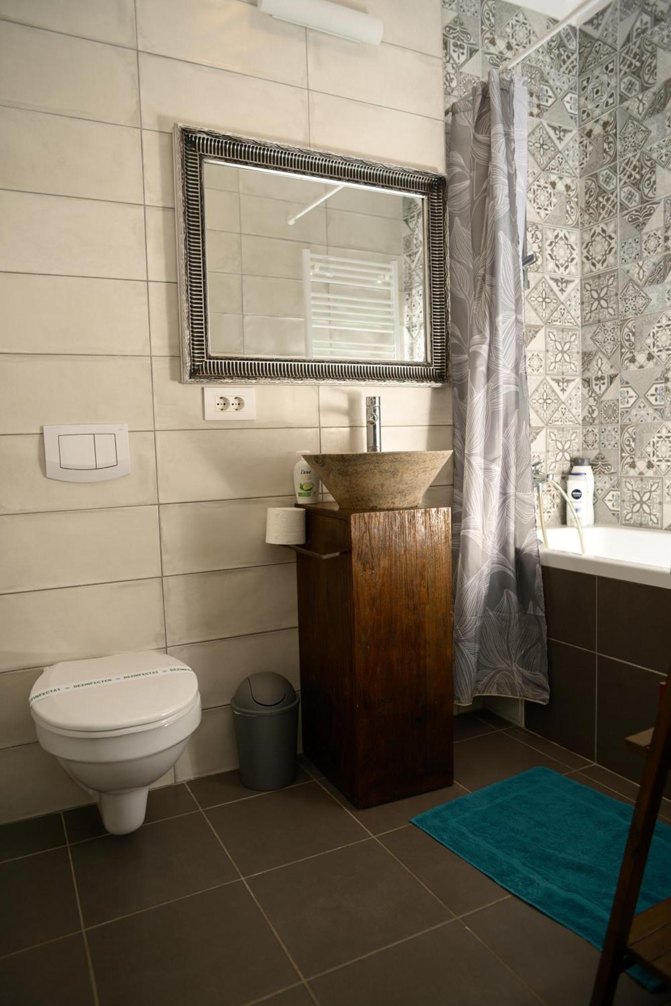 טימישוארה Mirvana Apartments Metheor Executive Suite מראה חיצוני תמונה